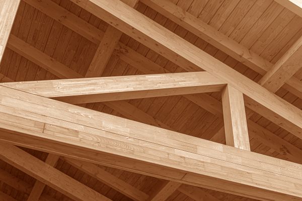 Rafter Repair
